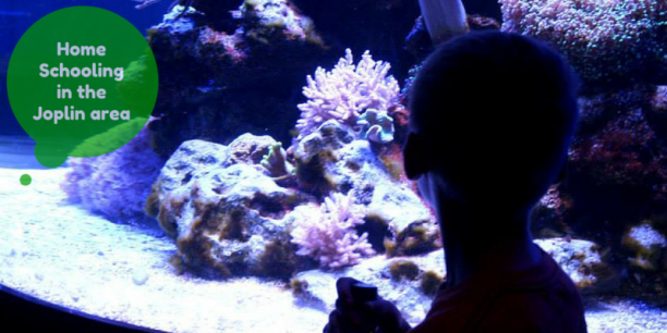 HomeSchoolingInfo_zpsbc7b16ca