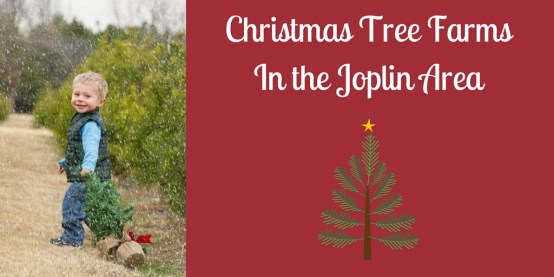 Christmas Tree Farms