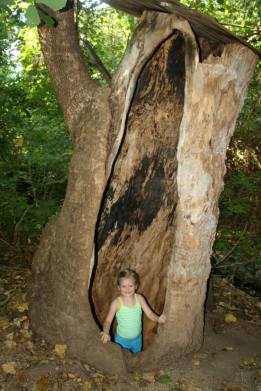 10625144_817822614924577_7144225652114840104_n