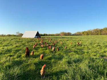 95192850_2660288810746740_5539228079089516544_n