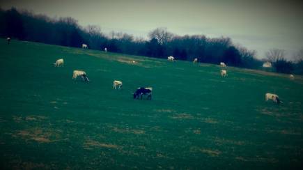 95879085_3203969792971146_1813076098469068800_o